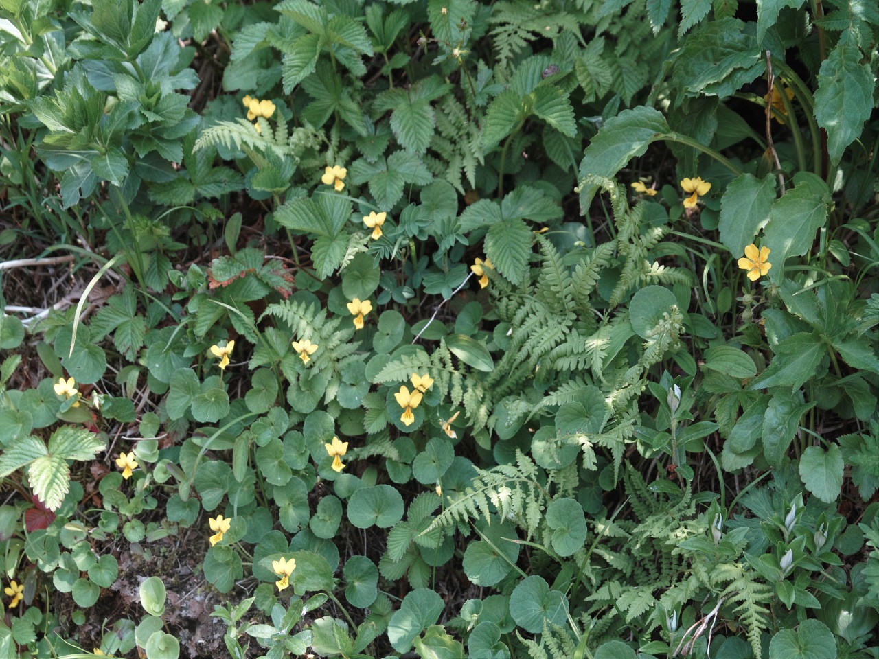 c0008948_1755954.jpg