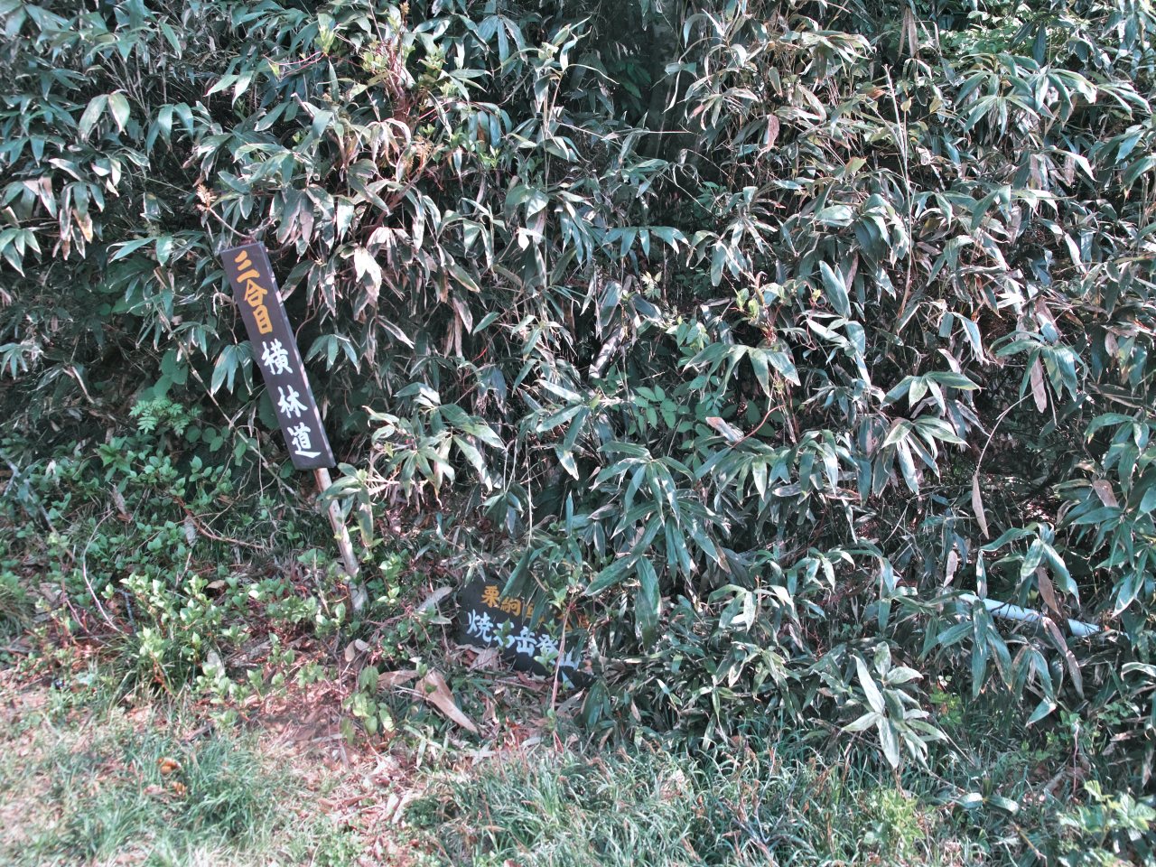 c0008948_9375586.jpg