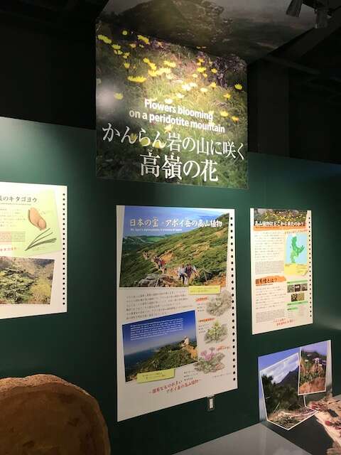 北海道(新ひだか町)ちょっと暮らし－10_e0043548_2120125.jpg