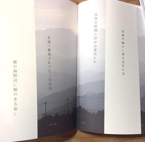 さわら句会10周年記念句集「はるのさかな」〜日本一、ゆるく笑いの絶えない句会_a0017350_07420585.jpg