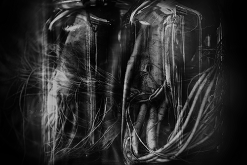 d0253060_15481047.png