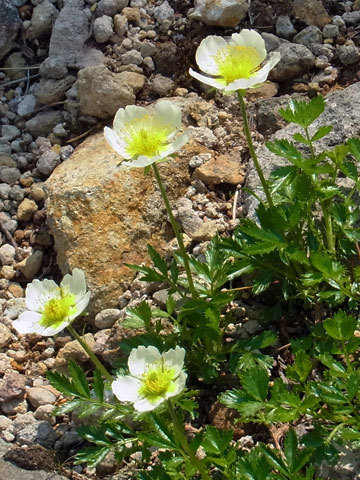 f0083977_06395004.jpg