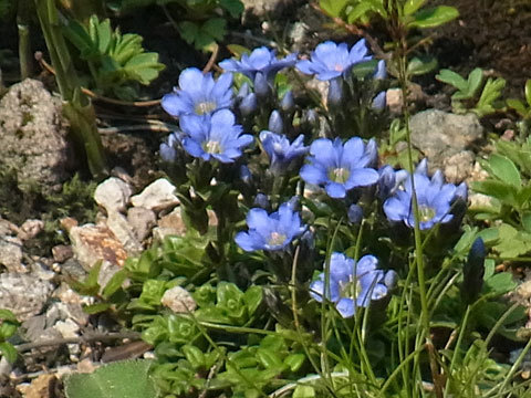 f0083977_06395080.jpg