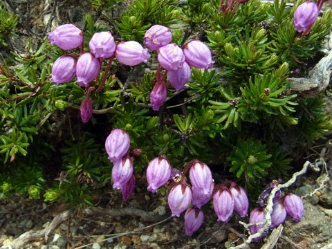 f0083977_06395093.jpg