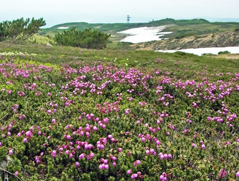 f0083977_06473715.jpg
