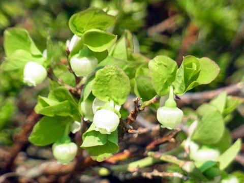 f0083977_06574153.jpg