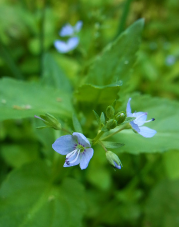 f0083977_13095528.jpg