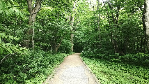 e0020682_1910322.jpg