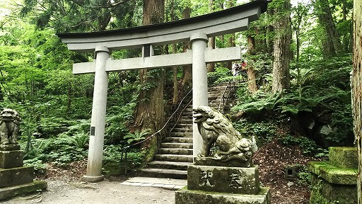 e0020682_19122016.jpg