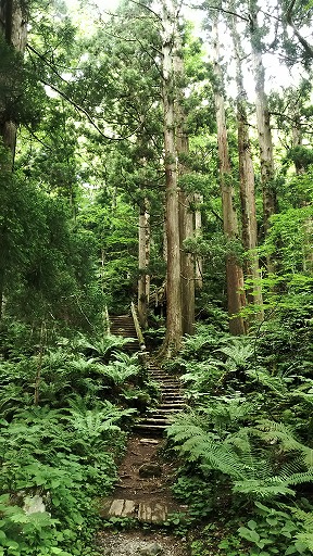 e0020682_19163749.jpg