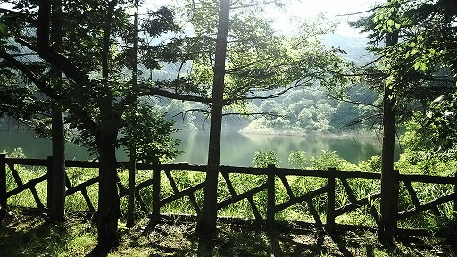 e0020682_19283312.jpg