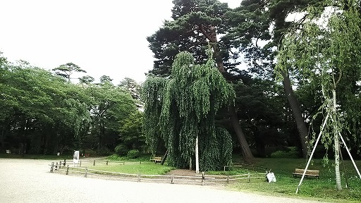 e0020682_1934062.jpg