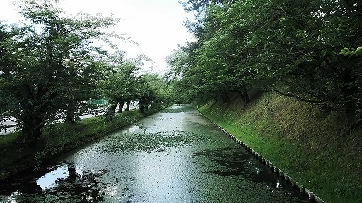 e0020682_19431710.jpg