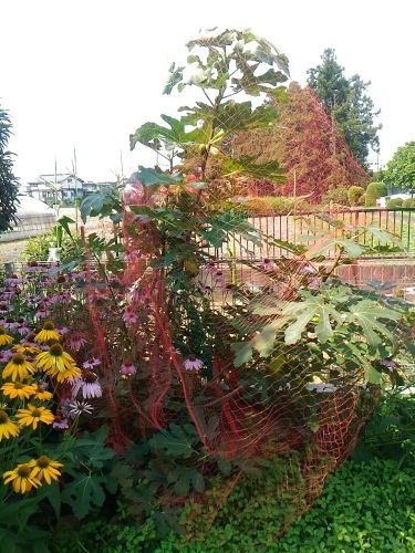 c0197684_12362754.jpg