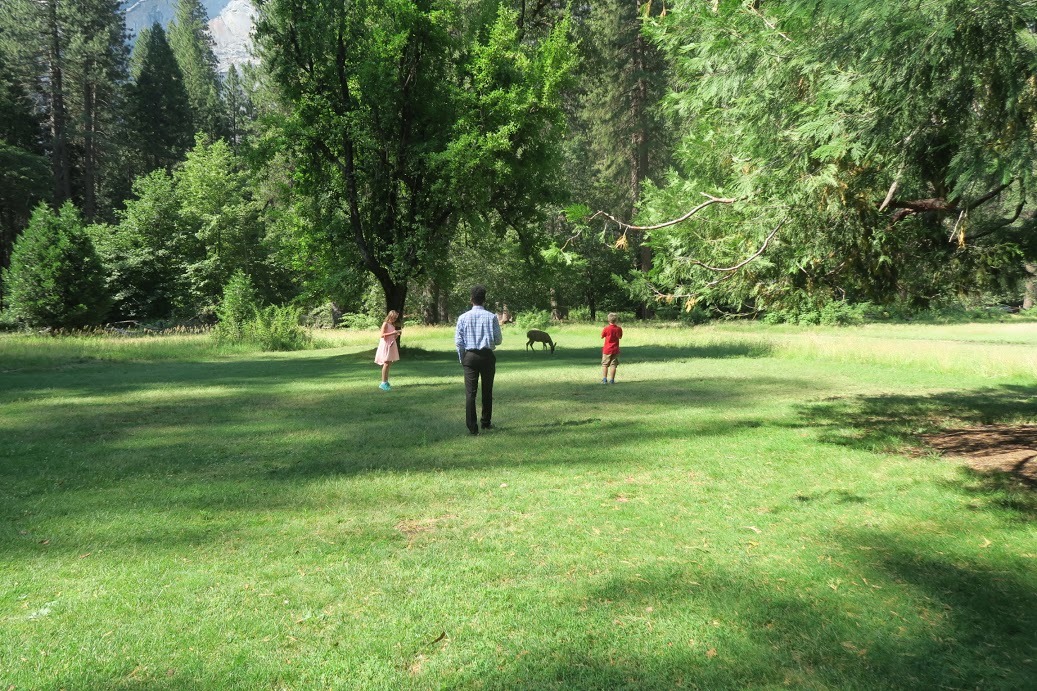 Wedding @ Yosemite National Park_a0344385_01200460.jpg