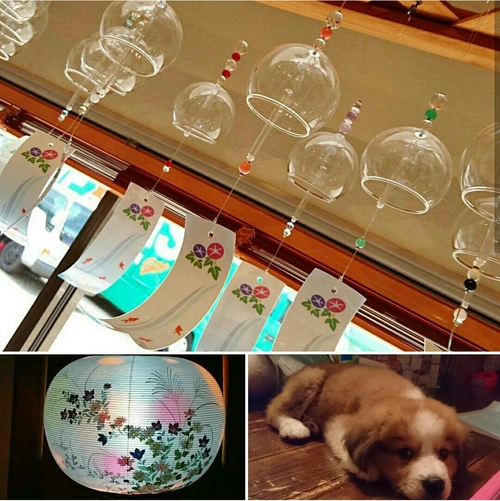 スタッフ更新日_c0140599_10581167.jpg