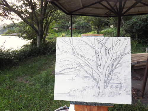 今日のスケッチ 菊川市丹野池 池畔の木 デッサン Ateliernishiのブログ