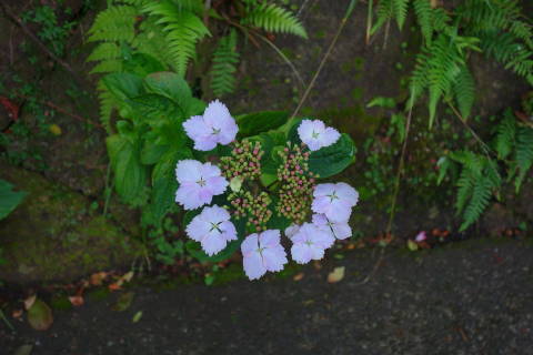 b0069604_22575134.jpg