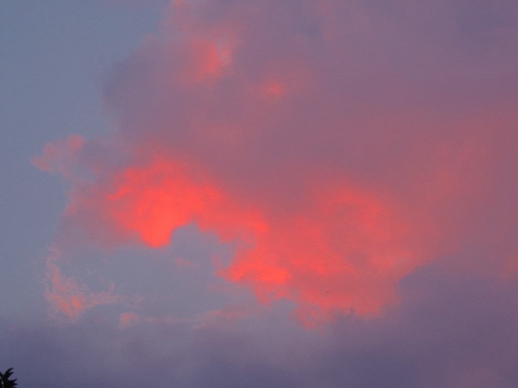 e0372207_21122116.jpg