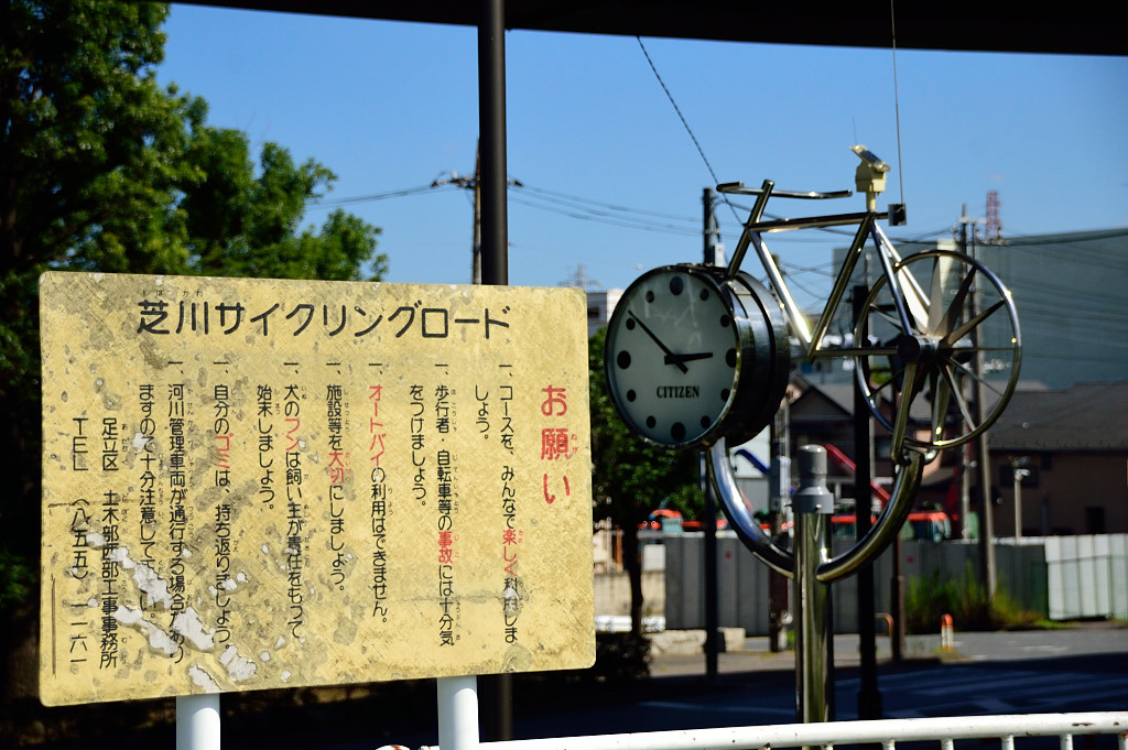 梅雨明け前猛暑の荒川ポタ。。。_a0017909_00270690.jpg