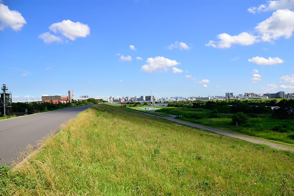 梅雨明け前猛暑の荒川ポタ。。。_a0017909_00271982.jpg