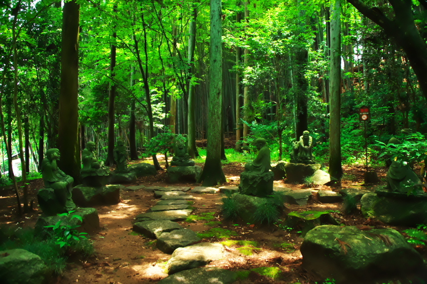 太田原市　黒羽城址　大雄（だいゆう）寺1_a0263109_13575935.jpg