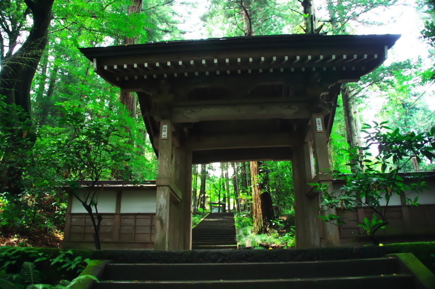 太田原市　黒羽城址　大雄（だいゆう）寺1_a0263109_13575958.jpg