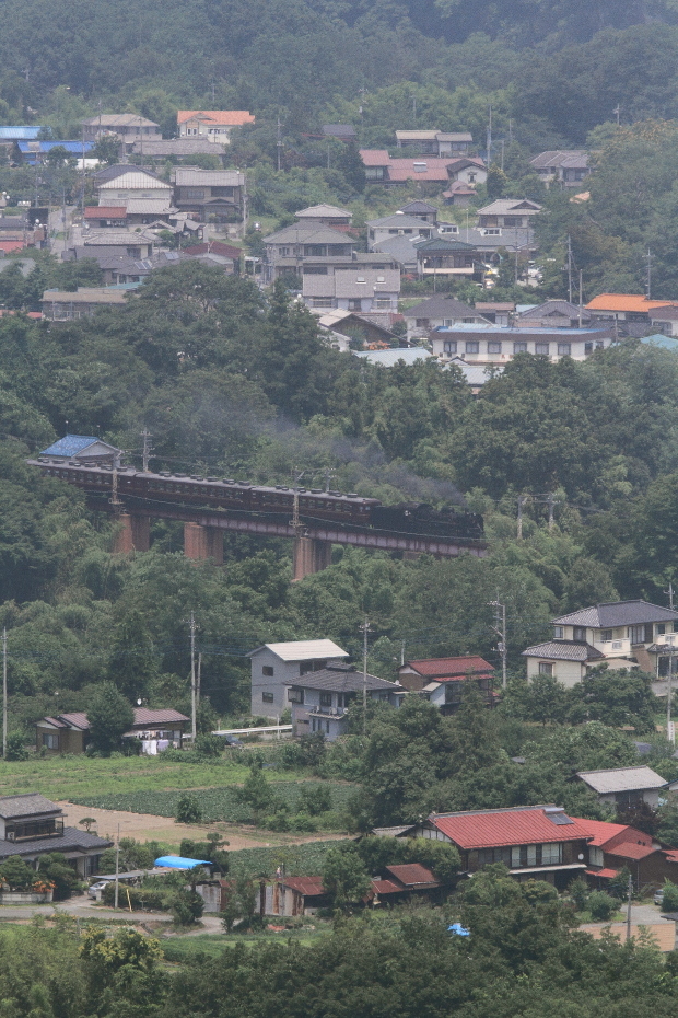 緑の森の上の鉄橋 - 2017年初夏・秩父 -_b0190710_23142919.jpg