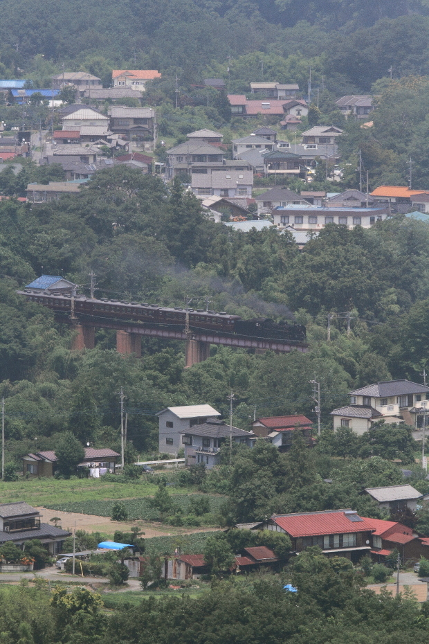 緑の森の上の鉄橋　- 2017年初夏・秩父 -_b0190710_23142919.jpg