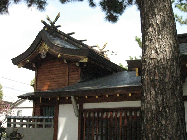 d0287413_14592.jpg