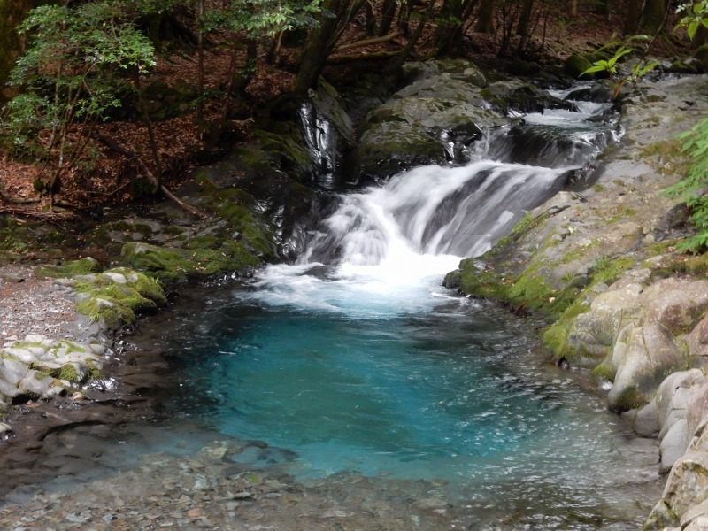 f0182513_23005518.jpg