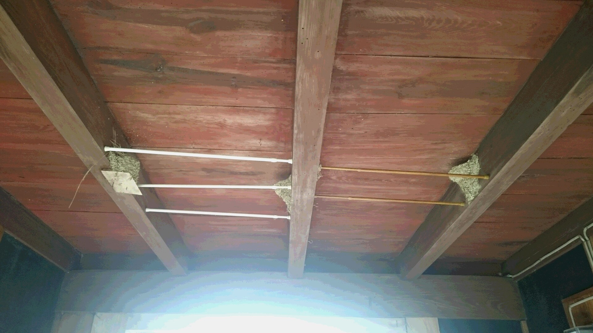 f0260120_21244524.jpg