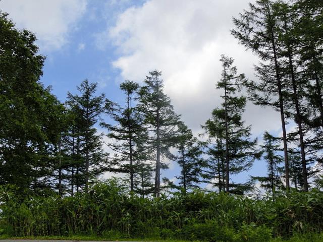 e0234924_10361411.jpg