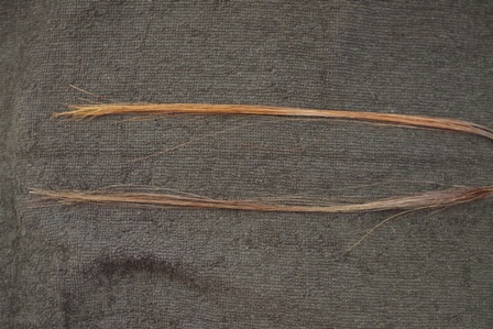 c0109726_20364184.jpg