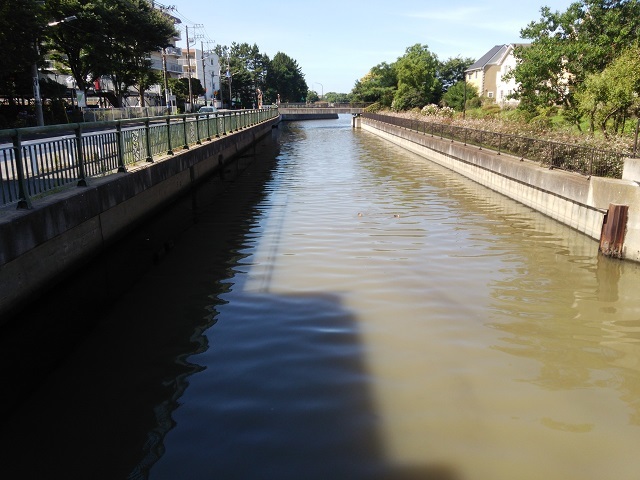 谷津干潟周辺 習志野市沿岸部の悪臭 東京湾の赤潮発生 谷岡隆 たにおかたかし 習志野市議会議員