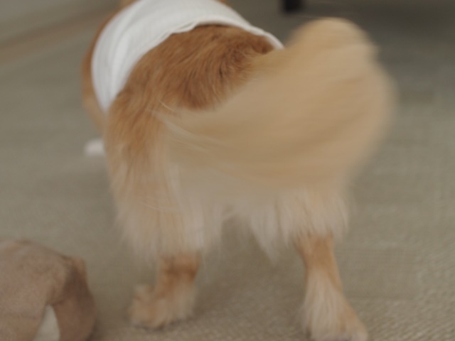 c0117831_17104785.jpg