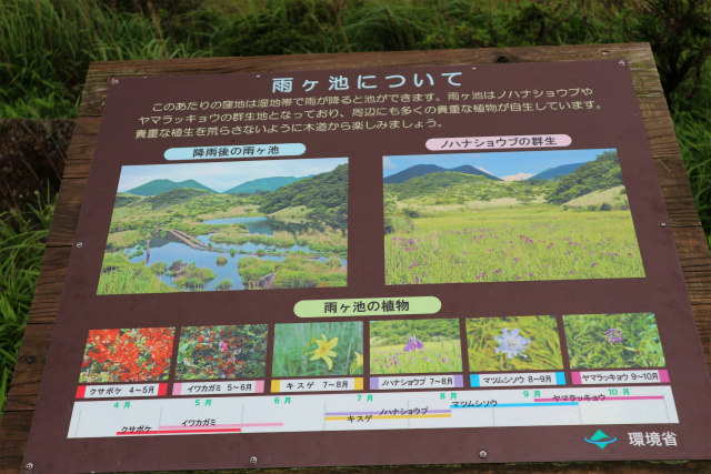 タデ湿原・坊がヅル・大船山林道での花散策！_e0272335_2011745.jpg