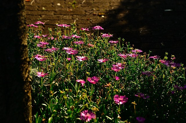 f0207943_15443029.jpg