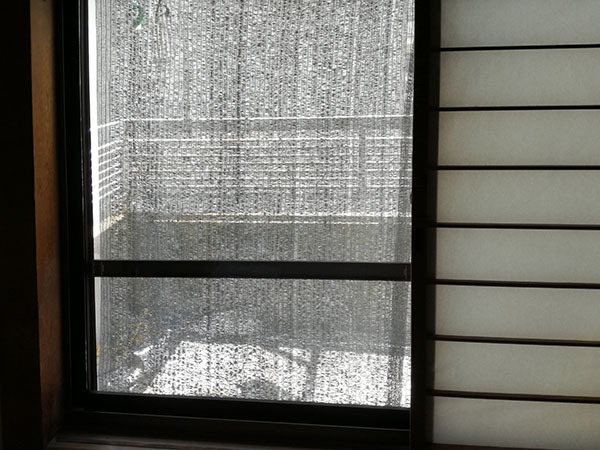 100均遮光ネットの出番です スポック艦長のphoto Diary 100均遮光ネットの出番です スポック艦長のphoto Diary