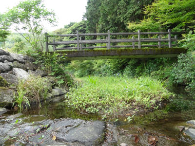 e0033751_1653367.jpg