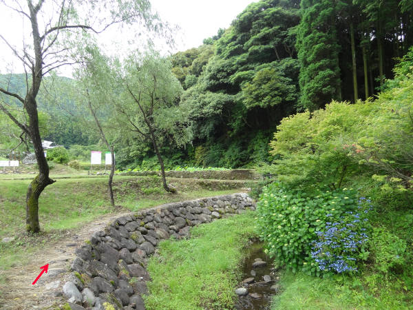 e0033751_1653373.jpg