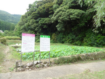 e0033751_16534100.jpg