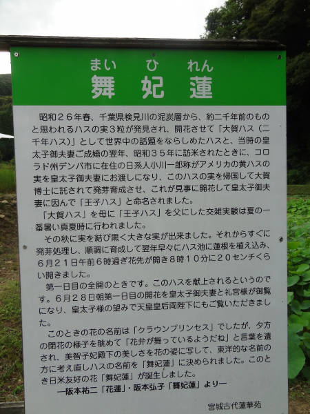 肥前国横断　（２）_e0033751_1653585.jpg