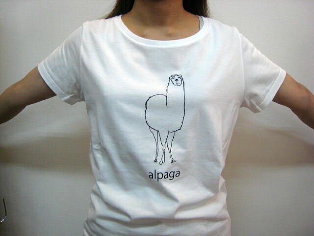 ＰＥＩＮＤＲＥ（パンドル）アルパカＰｔ　Ｔシャツ　ＷＨＩＴＥ_a0089359_144508.jpg