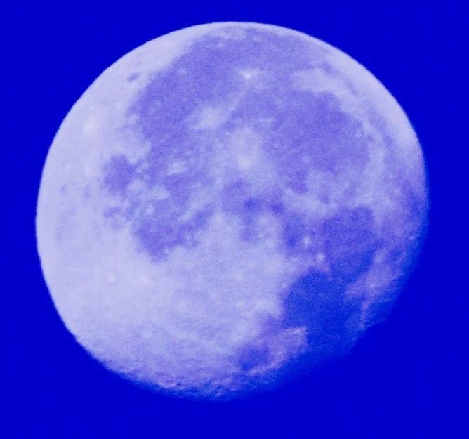 a0248459_15095901.jpg