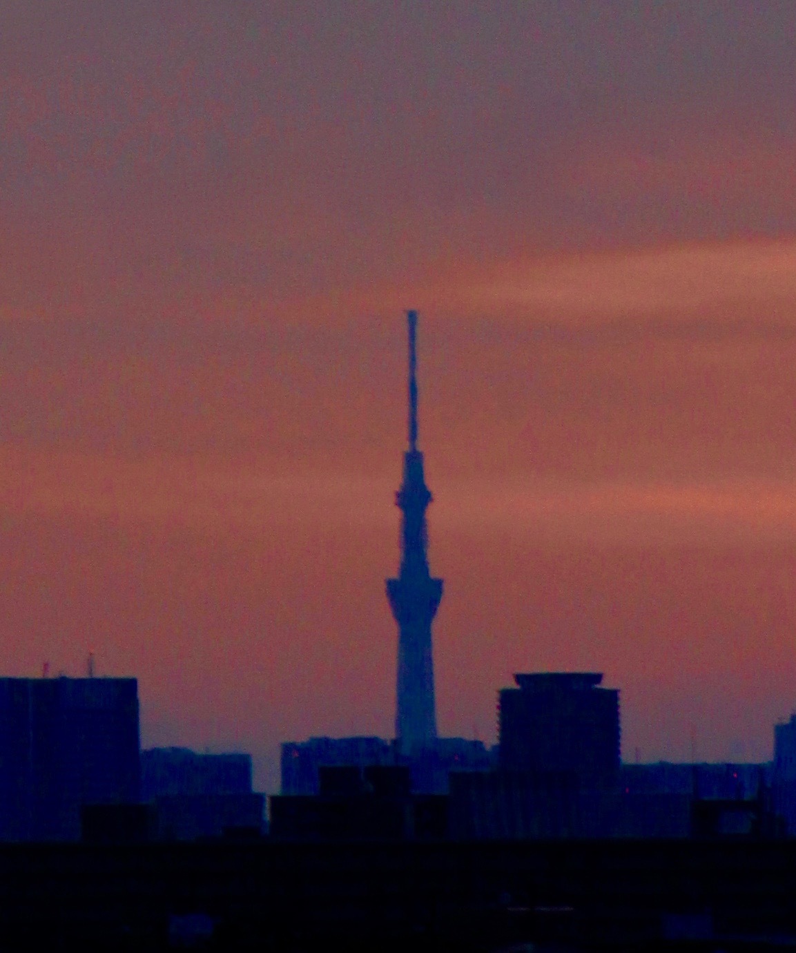 梅雨明けがまたれます。。。 ! !_a0248459_15120729.jpg