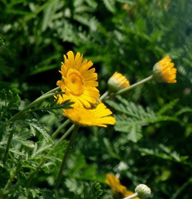 a0248459_15164362.jpg