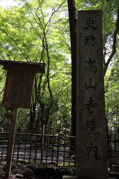 f0358360_21494537.jpg