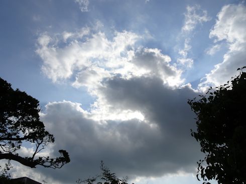 d0082763_16032806.jpg