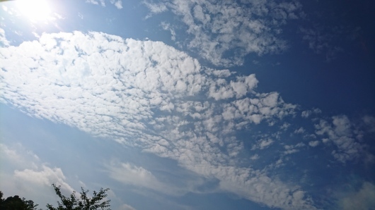 d0362666_09114221.jpg